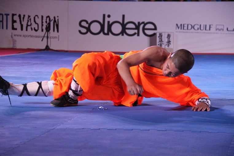 Martial Arts Festival